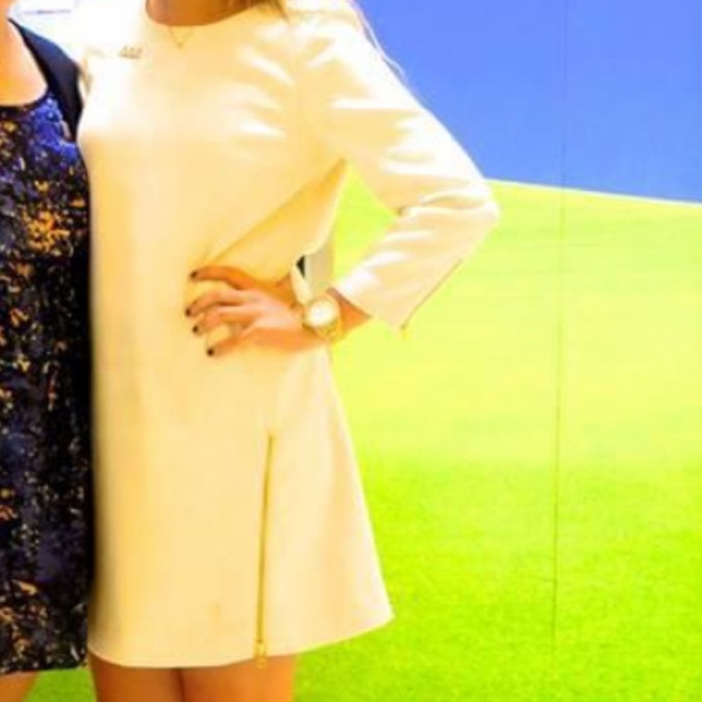 J Crew Business Dress w Gold Zipper detailing